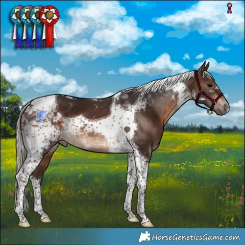 Horse Color:Silver Brown Tobiano 