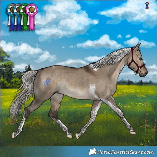 Horse Color:Gray Silver Bay Dun Tobiano Rabicano 