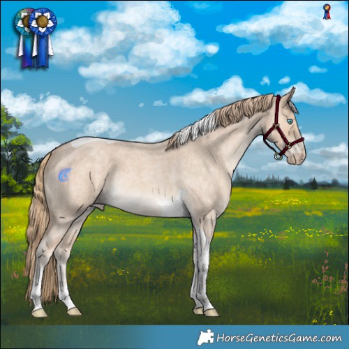 Horse Color:Perlino Roan Tobiano 