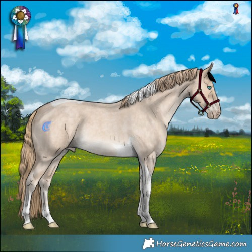 Horse Color:Perlino Roan Tobiano