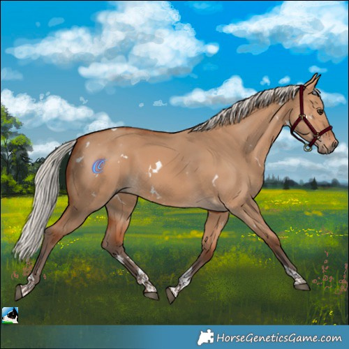 Horse Color:White Spotted Silver Bay Dun Tobiano 