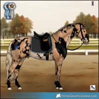 Horse Color:Void White Spotted Chestnut 