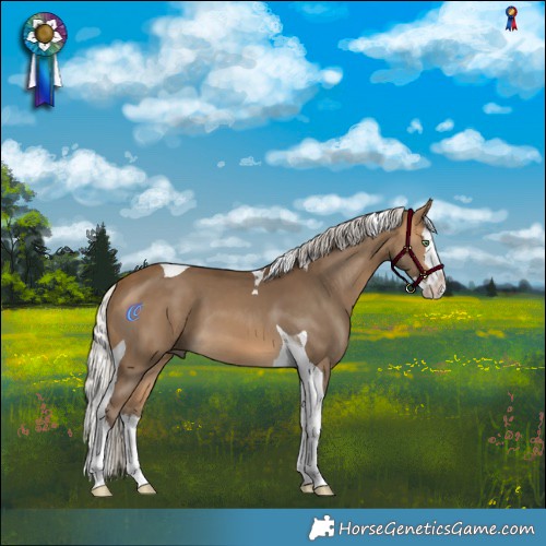Horse Color:Silver Buckskin Splash Tobiano 