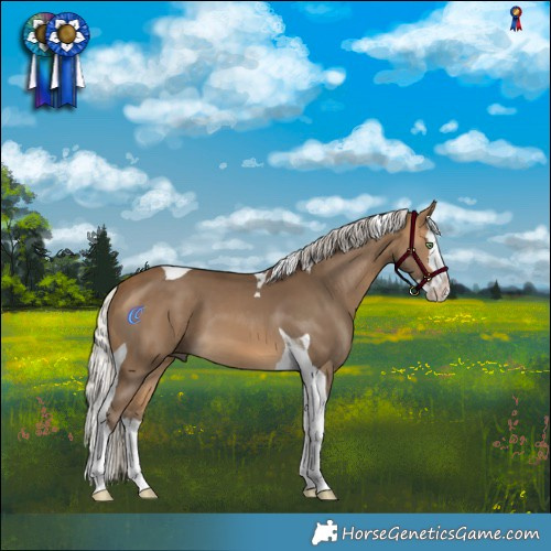 Horse Color:Silver Buckskin Splash Tobiano 