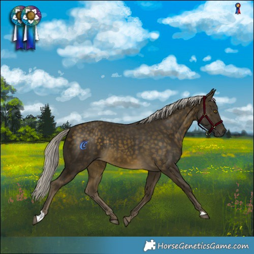 Horse Color:Silver Buckskin Rabicano