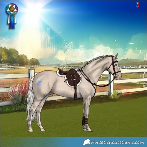 Horse Color:Cremello Rabicano 