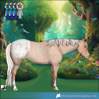 Horse Color:Silver Sable Champagne Roan Blanket 