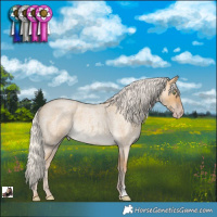 Horse Color:Silver Sable Cream Champagne Roan Rabicano 