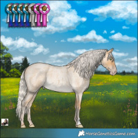 Horse Color:Silver Sable Cream Champagne Roan Rabicano