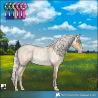 Horse Color:Silver Sable Cream Champagne Roan Rabicano