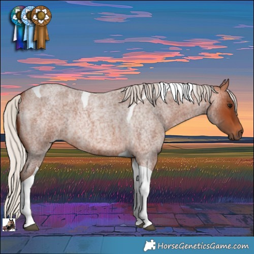 Horse Color:Silver Bay Roan Tobiano Rabicano