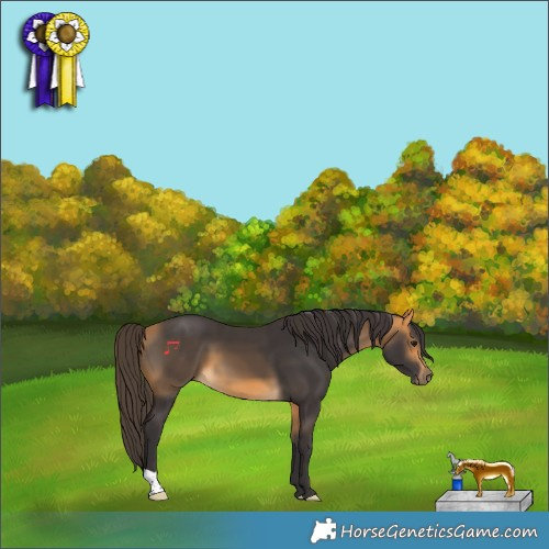 Horse Color:Buckskin 