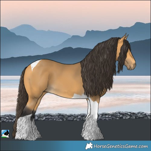 Horse Color:Buckskin Tobiano