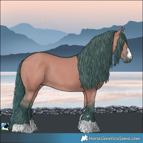 Horse Color:Watercolor Grullo Mushroom Rabicano