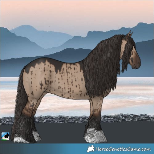 Horse Color:Liver Red Dun Brindle