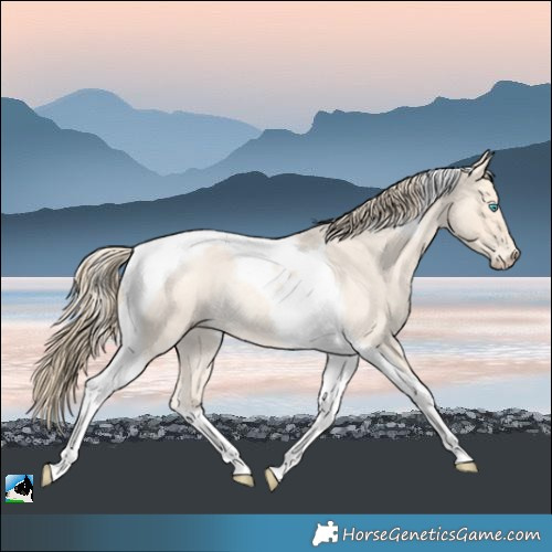 Horse Color:Perlino Roan Tobiano Rabicano 