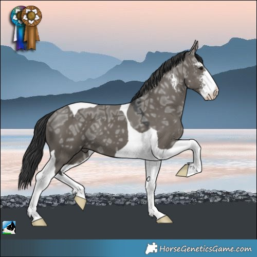 Horse Color:Grullo Ice Sabino Tobiano