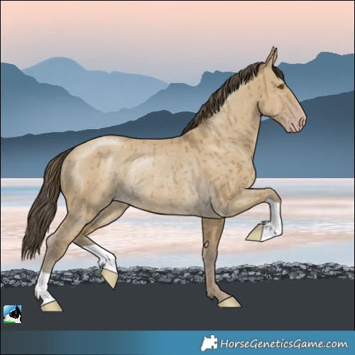 Horse Color:Classic Cream Champagne Dun Rabicano Brindle 
