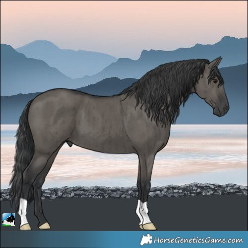 Horse Color:Grullo Brindle