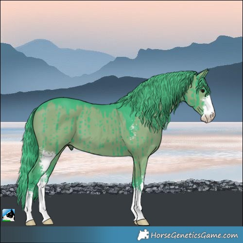 Horse Color:Watercolor Grullo Sabino Brindle 