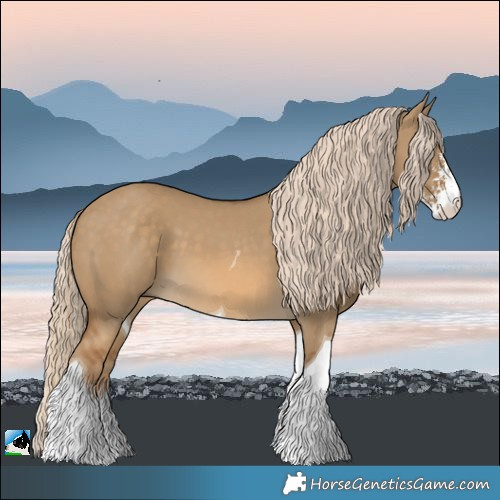 Horse Color:Chocolate Palomino Dun Sabino Tobiano 