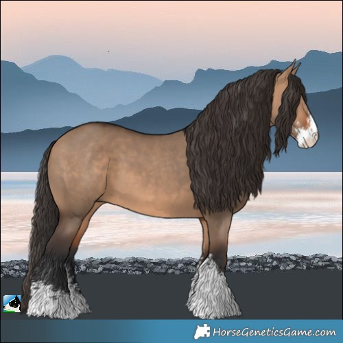 Horse Color:Bay Dun Sabino