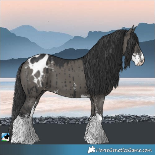 Horse Color:Grullo Sabino Varnish Brindle