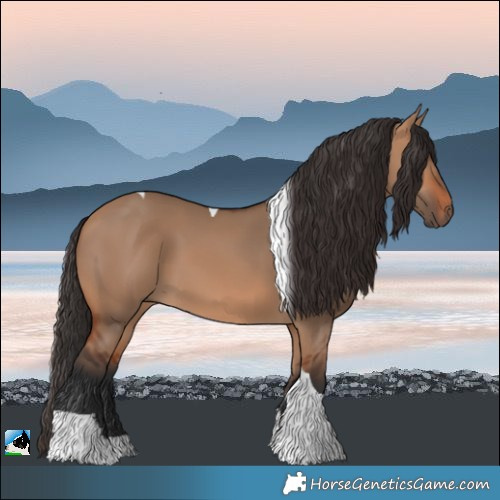 Horse Color:Bay Dun Tobiano 