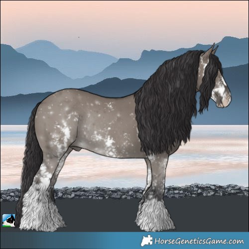 Horse Color:Smoky Grullo Sabino Rabicano 