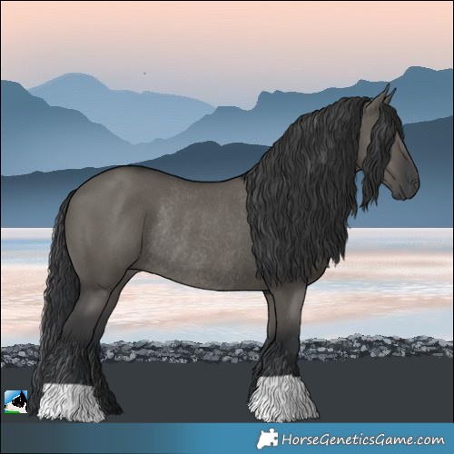 Horse Color:Grullo Rabicano 