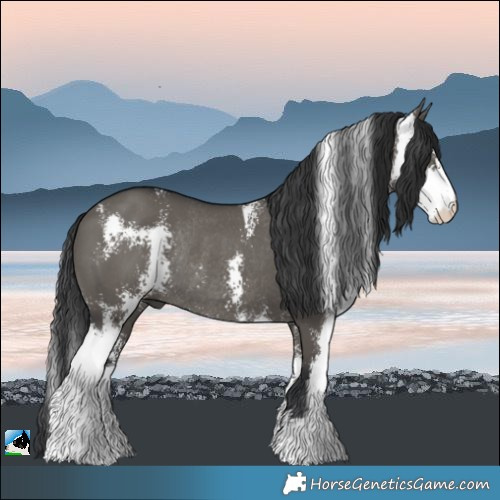 Horse Color:Grullo Sabino Rabicano 