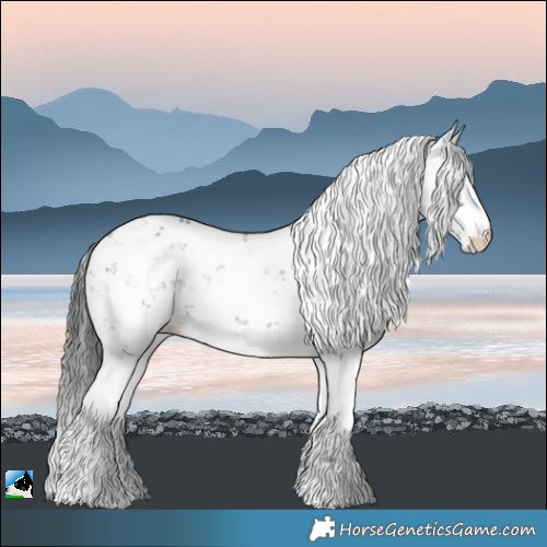 Horse Color:Grullo Sabino 