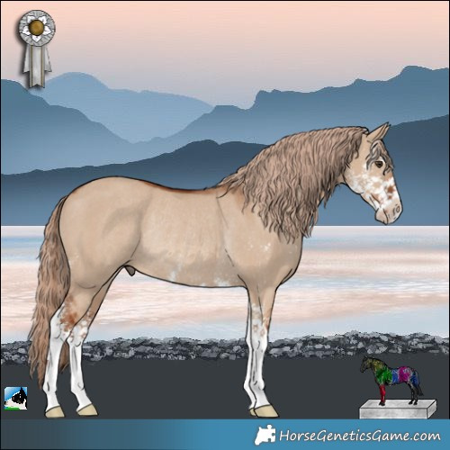 Horse Color:Red Dun Sabino Rabicano 