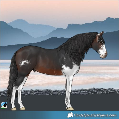 Horse Color:Brown Sabino 