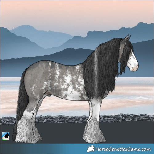 Horse Color:Grullo Sabino Brindle 