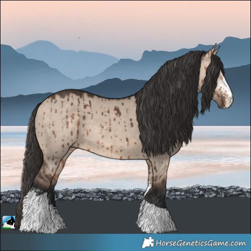 Horse Color:Bay Dun Mushroom Sabino Tobiano Brindle 