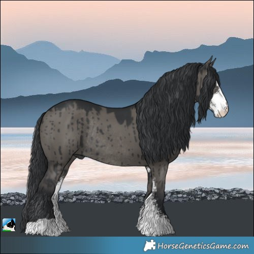 Horse Color:Grullo Sabino Rabicano Brindle
