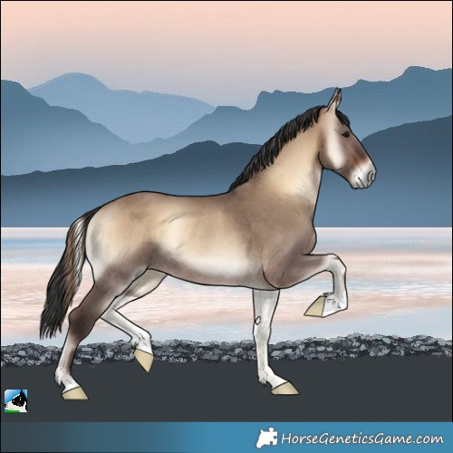 Horse Color:Brown Onyx Rabicano