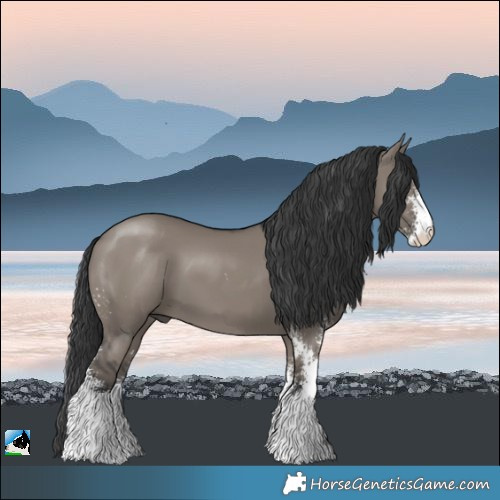 Horse Color:Grullo Sabino