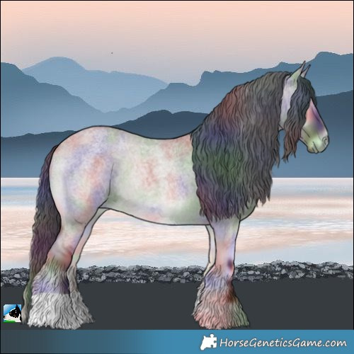 Horse Color:Nacre Grullo Roan Onyx