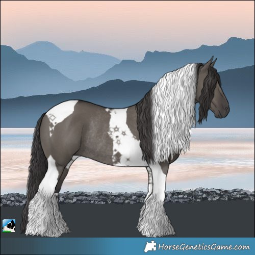 Horse Color:Smoky Grullo Tobiano Rabicano 