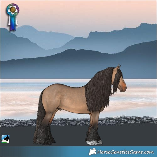 Horse Color:Bay Dun Rabicano
