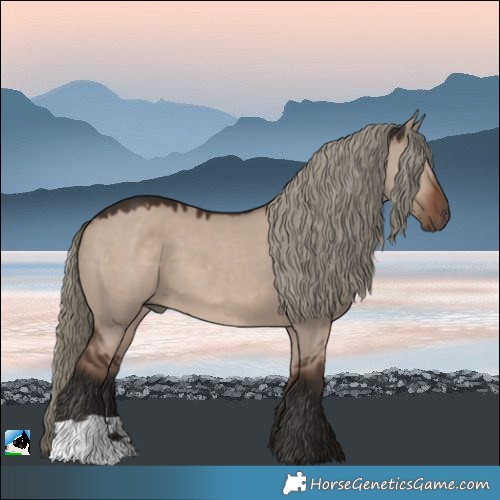 Horse Color:Liver Red Dun Mushroom