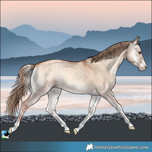 Horse Color:Gold Champagne Onyx Sabino Brindle