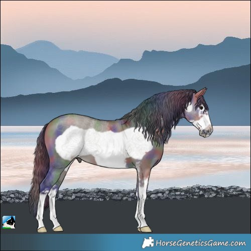 Horse Color:Nacre Grullo Sabino Frame 