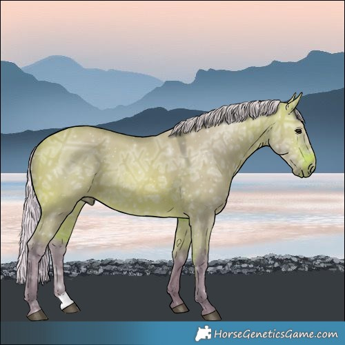 Horse Color:Watercolor Silver Bay Ice Dun 