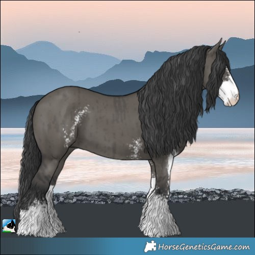 Horse Color:Grullo Sabino Brindle 