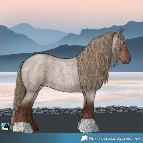 Horse Color:Liver Red Dun Roan 