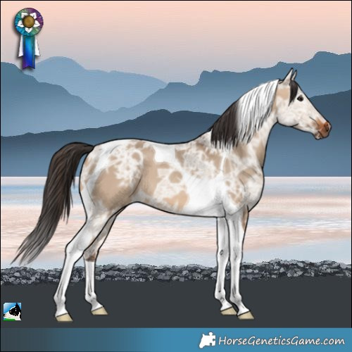 Horse Color:Bay Ice Dun Tobiano