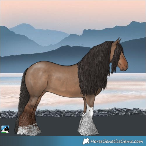 Horse Color:Liver Red Dun Tobiano